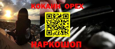 spice Новозыбков