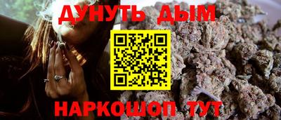a pvp Новодвинск